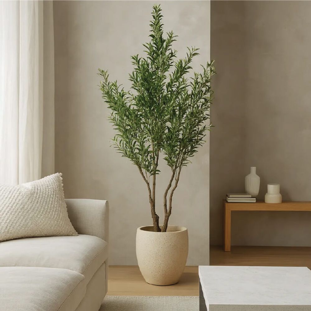 S3_2911_Untitled-design-6