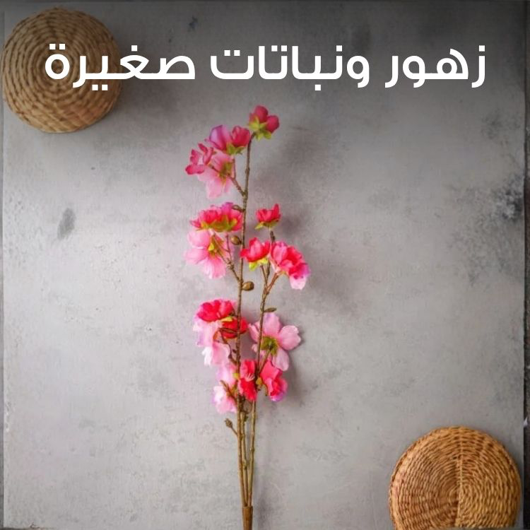 S3_3021_Sub-Banner-acc-7