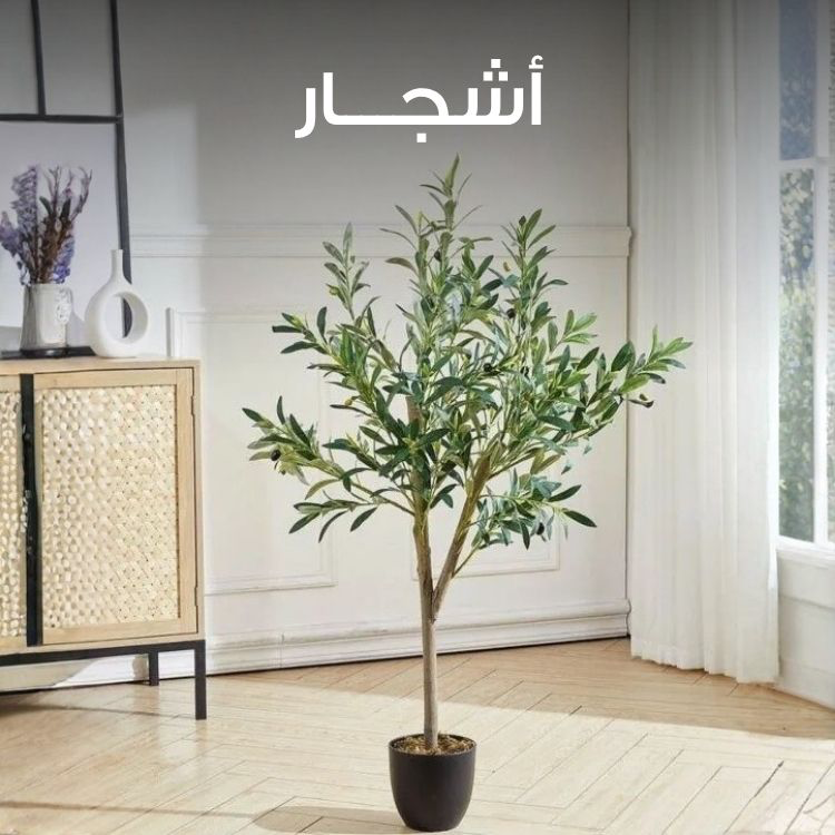 S3_3029_Sub-Banner-acc-8