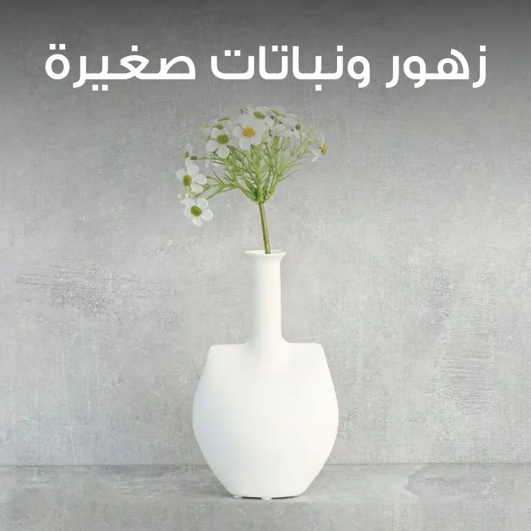 S3_3050_%D8%B2%D9%87%D9%88%D8%B1-%D9%88%D9%86%D8%A8%D8%A7%D8%AA%D8%A7%D8%AA