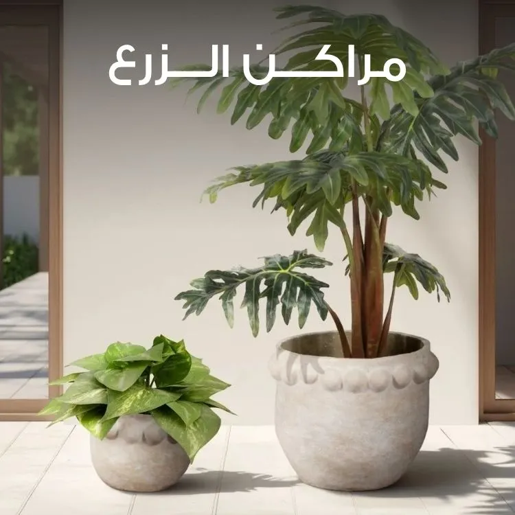 S3_3051_%D9%85%D8%B1%D8%A7%D9%83%D9%86-%D8%B2%D8%B1%D8%B9